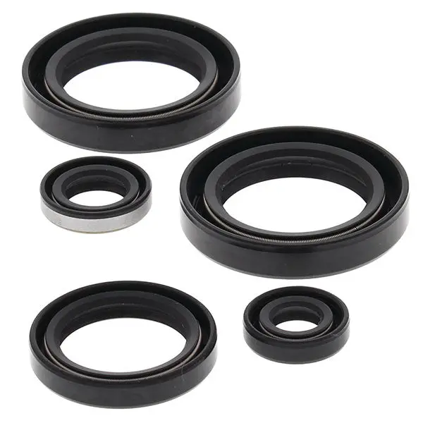 Vertex Oil Seal Kit 1