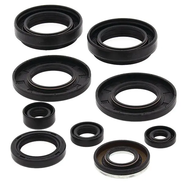 Vertex Oil Seal Kit 1
