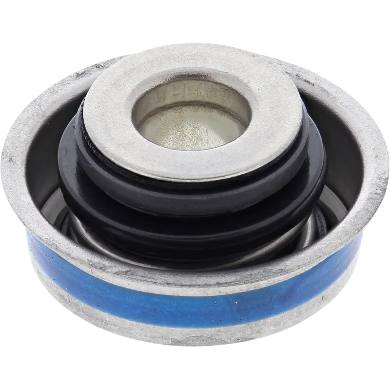 Winderosa Seal Water Pump Canam 1