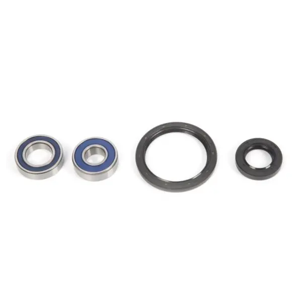 All Balls Racing Wheel Bearing & Seal Kit 1
