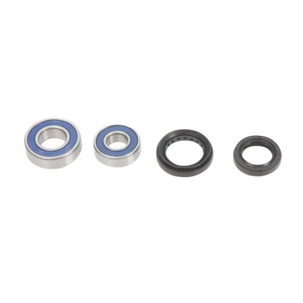 All Balls Racing Wheel Bearing & Seal Kit 1