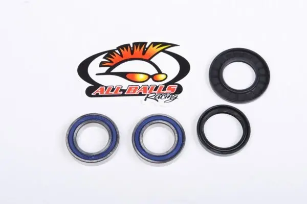 All Balls Racing Wheel Bearing & Seal Kit 1