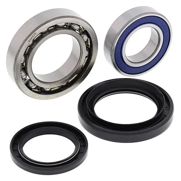All Balls Racing Wheel Bearing & Seal Kit 2