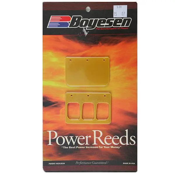 Boyesen Snowmobile Power Reed (538) 1