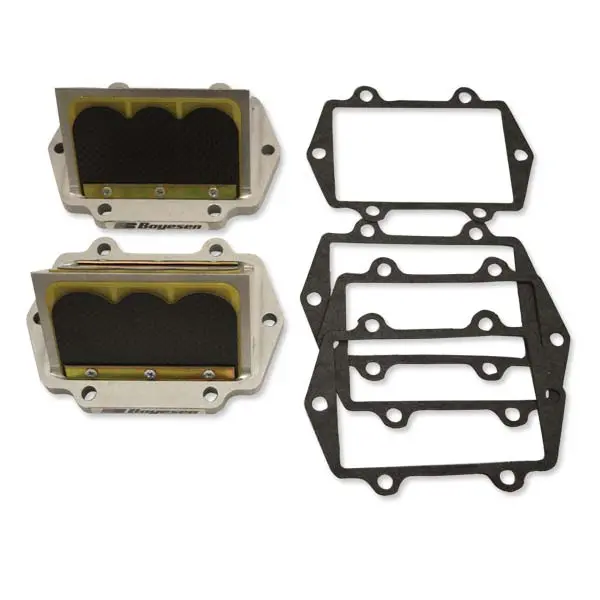 Boyesen Snowmobile Rage Cage (Rad51a-2) 1