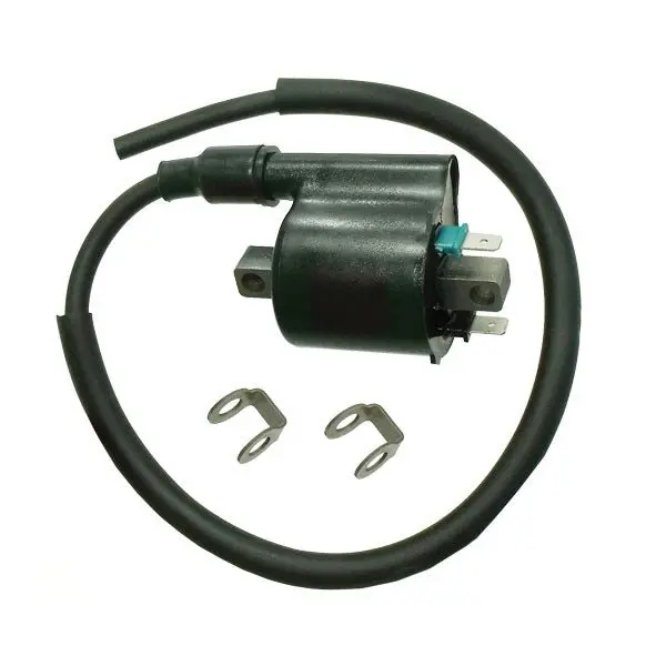 Bronco Atv Ignition Coil (At-01685) 1