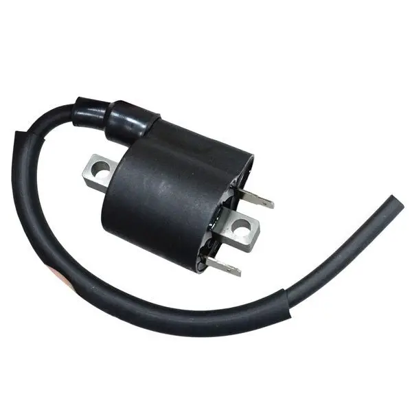 Bronco Atv Ignition Coil (At-01692) 1
