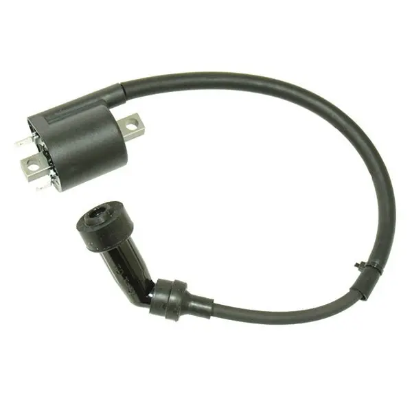Bronco Atv Ignition Coil (At-01696) 1