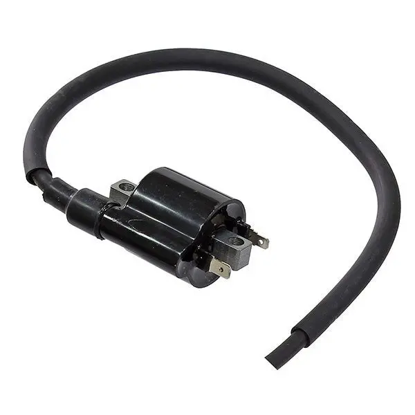 Bronco Atv Ignition Coil (At-01698) 1