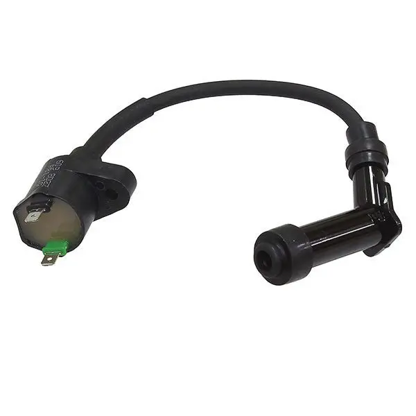Bronco Atv Ignition Coil (At-01909) 1