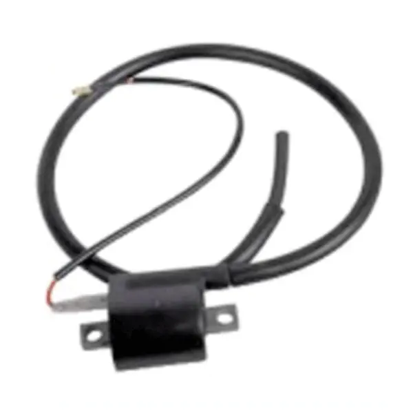 Bronco Atv/Utv Ignition Coil (At-01307) 1
