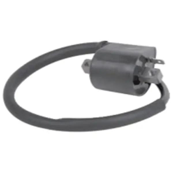 Bronco Atv/Utv Ignition Coil (At-01318) 1