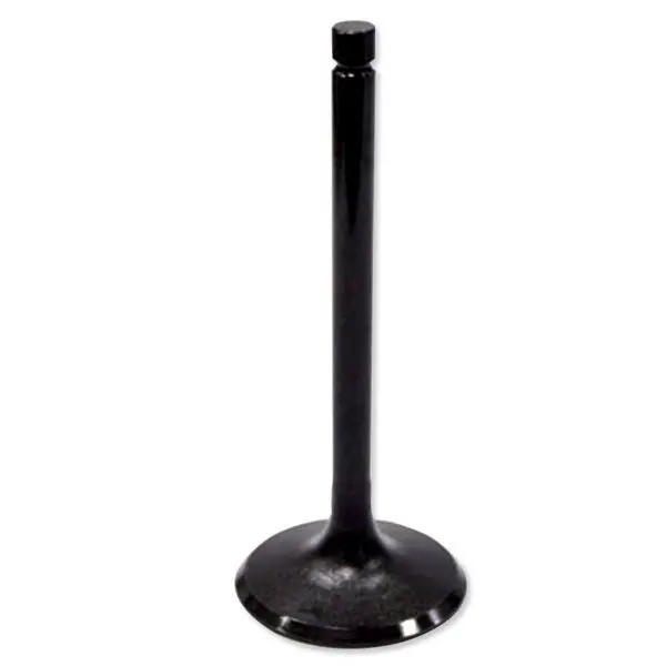 Bronco Atv/Utv Intake Valve (Au-09011I) 1