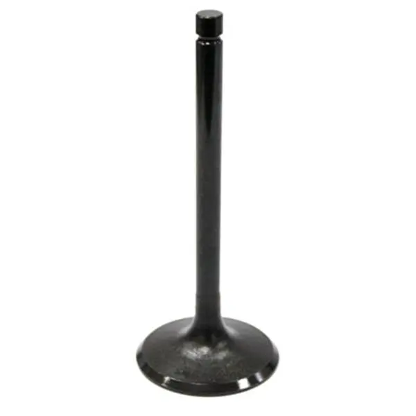 Bronco Atv/Utv Intake Valve (Au-09025I) 1
