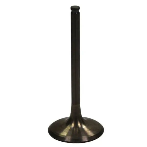 Bronco Atv/Utv Intake Valve (Au-09028I) 1