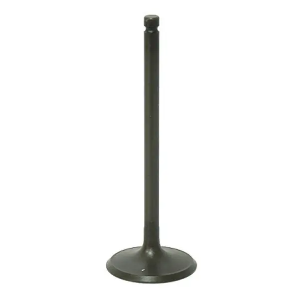 Bronco Atv/Utv Intake Valve (Au-09194I) 1