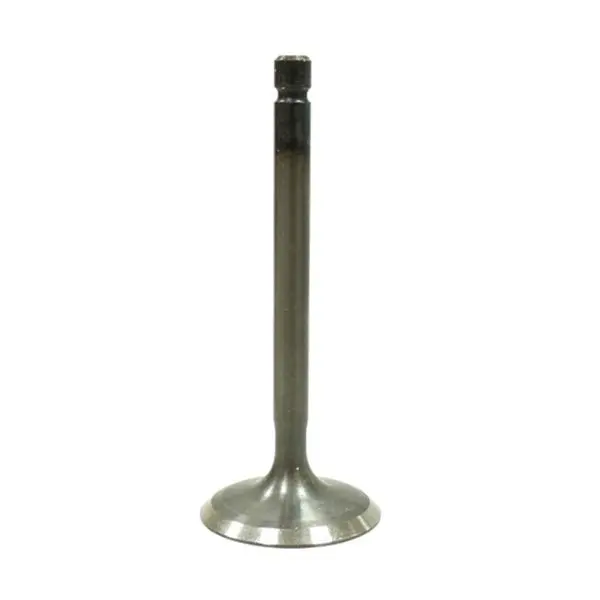 Bronco Atv/Utv Intake Valve (Au-09217I) 1