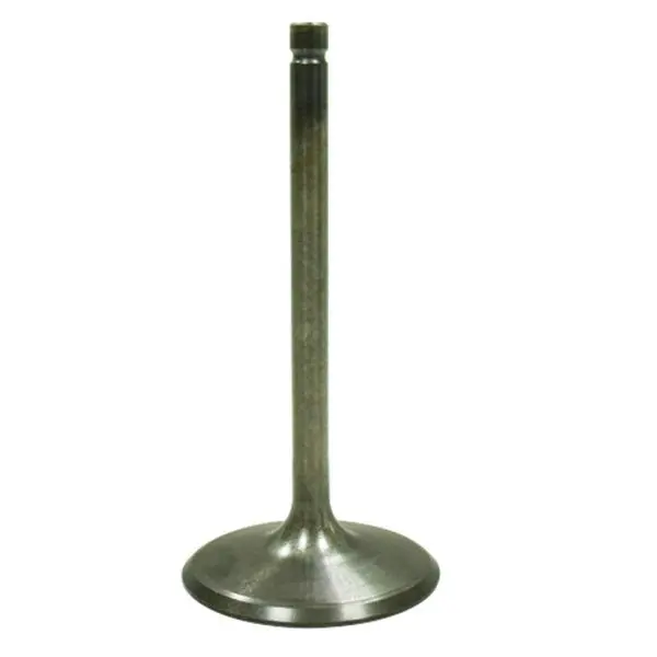 Bronco Atv/Utv Intake Valve (Au-09219I) 1
