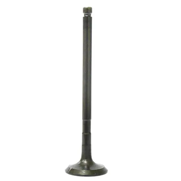 Bronco Atv/Utv Valve Exhaust (Au-09193E) 1