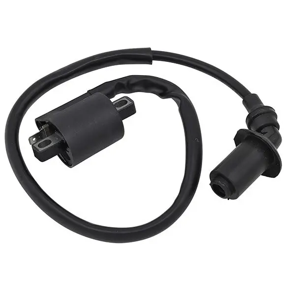 Bronco Ignition Coil (Ac-01250) 1