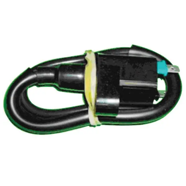 Bronco Ignition Coil (At-01300) 1