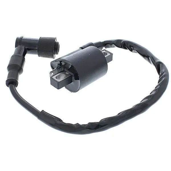 Bronco Ignition Coil (At-01319) 1