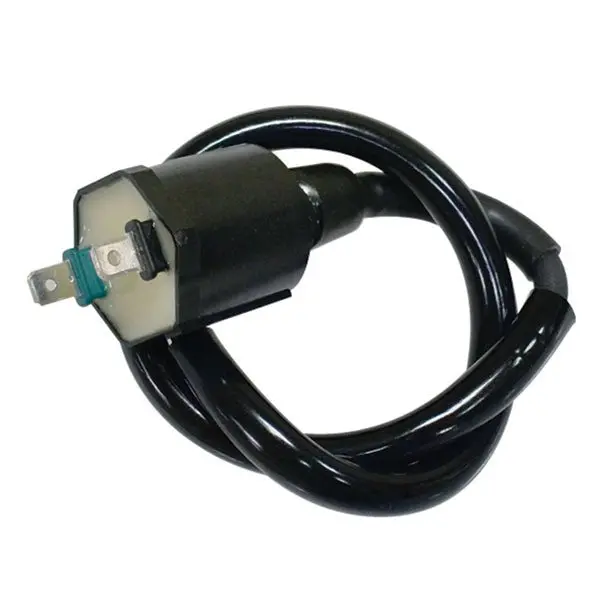 Bronco Ignition Coil (At-01344) 1