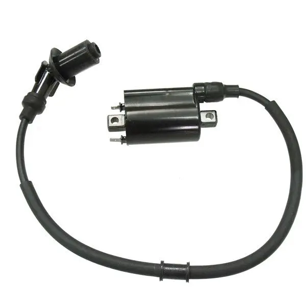 Bronco Ignition Coil (At-01691) 1