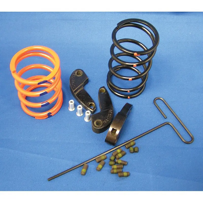 Dalton Clutch Kit For Polaris 1