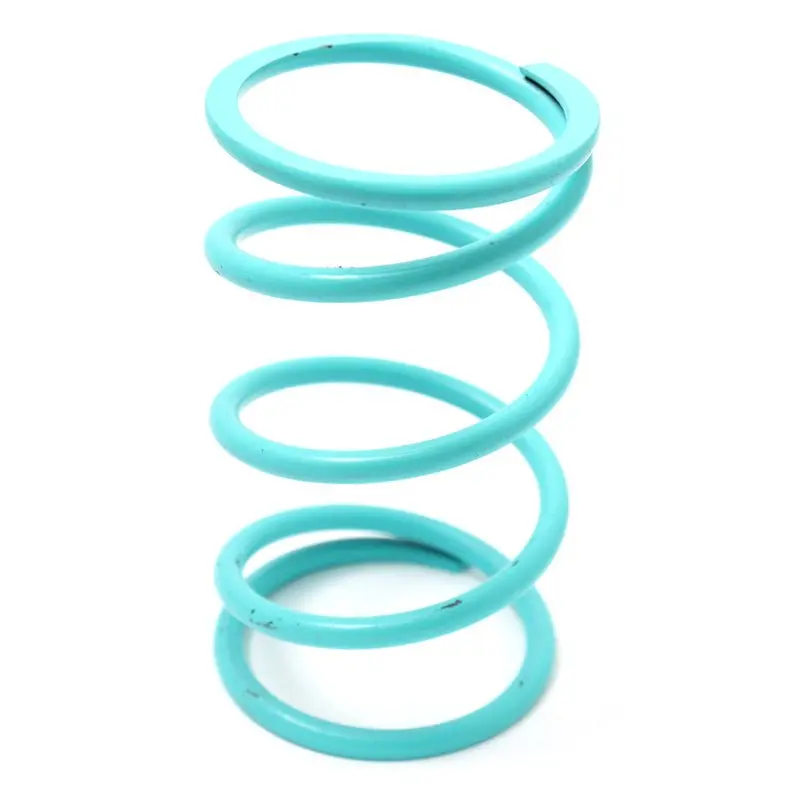 Dalton Secondary Clutch Springs 1