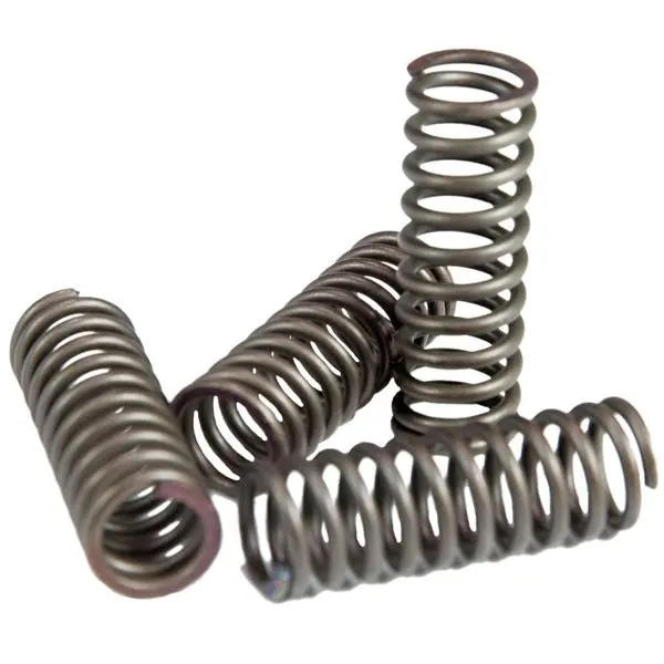 Ebc Csk Clutch Spring Set 1
