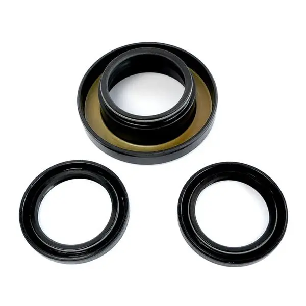 Epi Differential Seal Kit 1