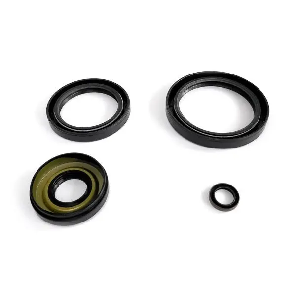 Epi Differential Seal Kit 1