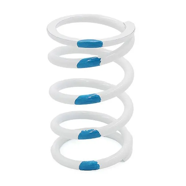 Epi Primary Clutch Spring 5