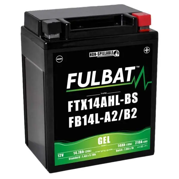 Fulbat Maintenance Free Battery (550607) 1