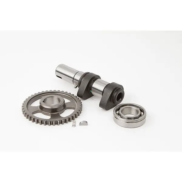 Hot Cams Stage 1 Camshaft 1