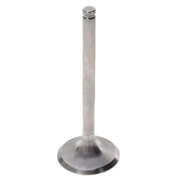 Hot Cams Exhaust Valve Steel & Titanium 1
