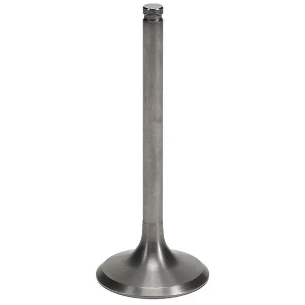 Hot Cams Exhaust Valve Steel & Titanium 2