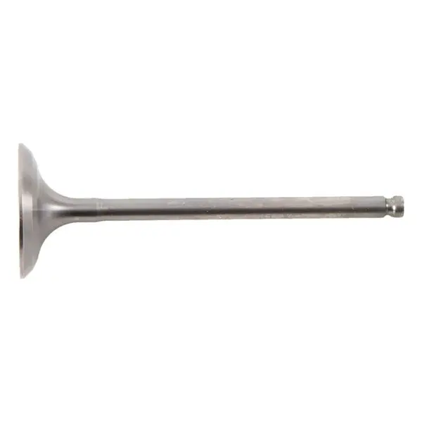 Hot Cams Intake Valve Steel & Titanium 1