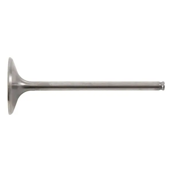 Hot Cams Intake Valve Steel & Titanium 1