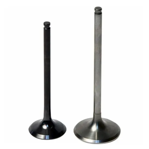 Hot Cams Intake Valve Steel & Titanium 1