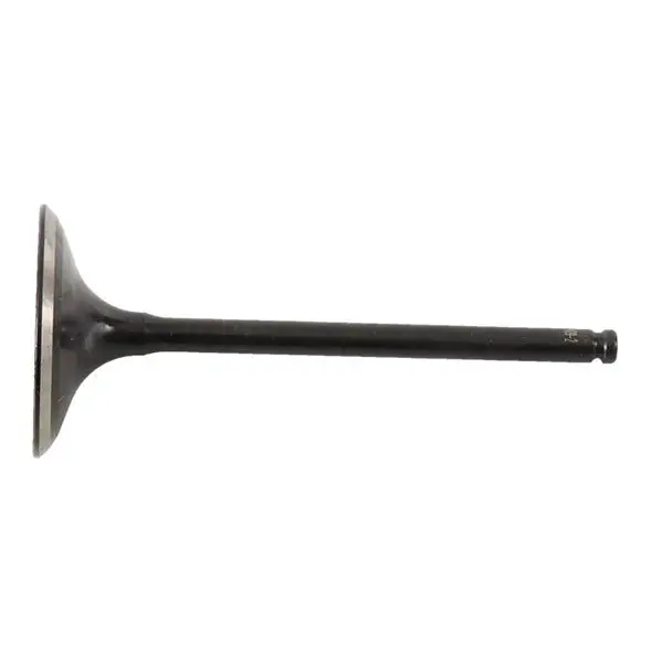 Hot Cams Intake Valve Steel & Titanium 1