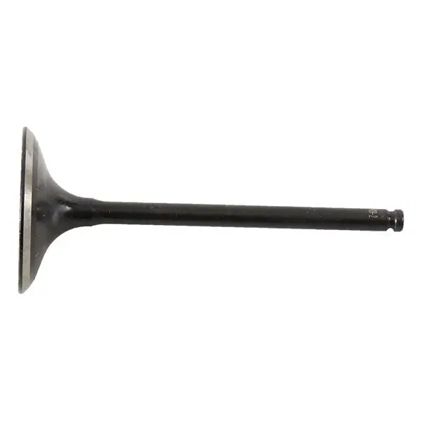 Hot Cams Intake Valve Steel & Titanium 2