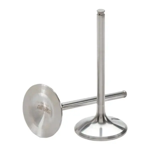 Hot Cams Intake Valve Steel & Titanium 1