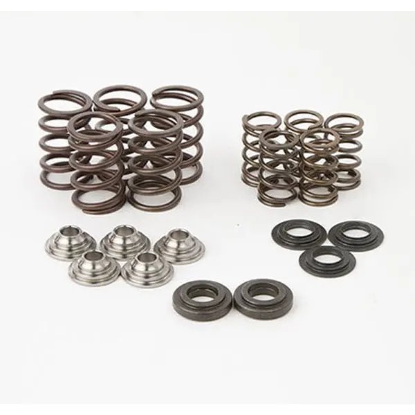 Hot Cams Valve Spring Kit 1