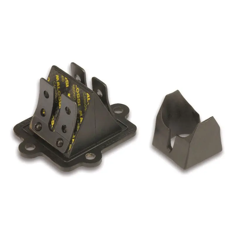 Malossi Carbon Reed Valves & Cage 1