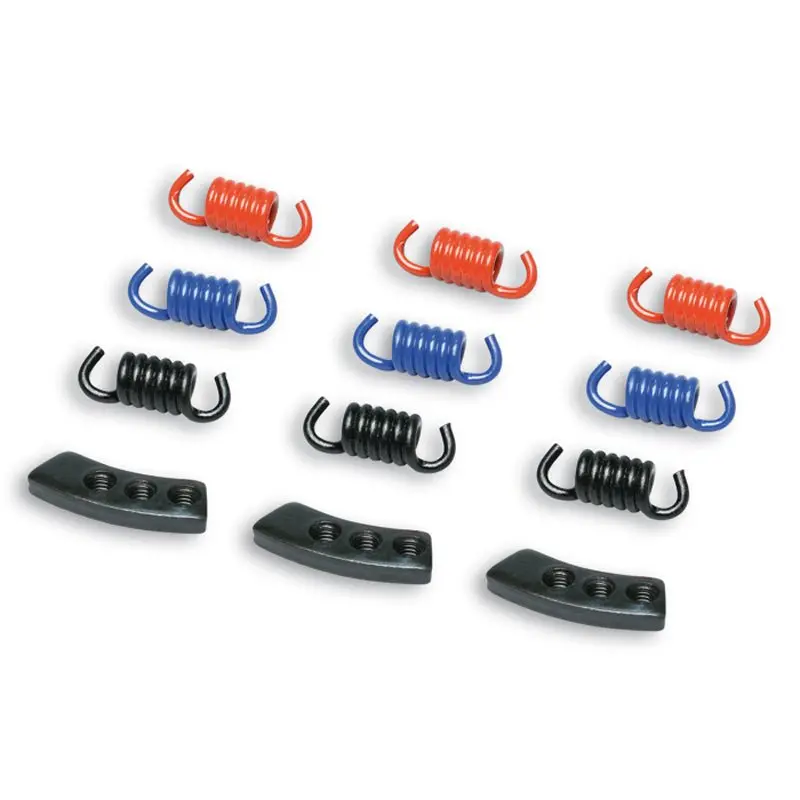 Malossi Clutch Springs 1