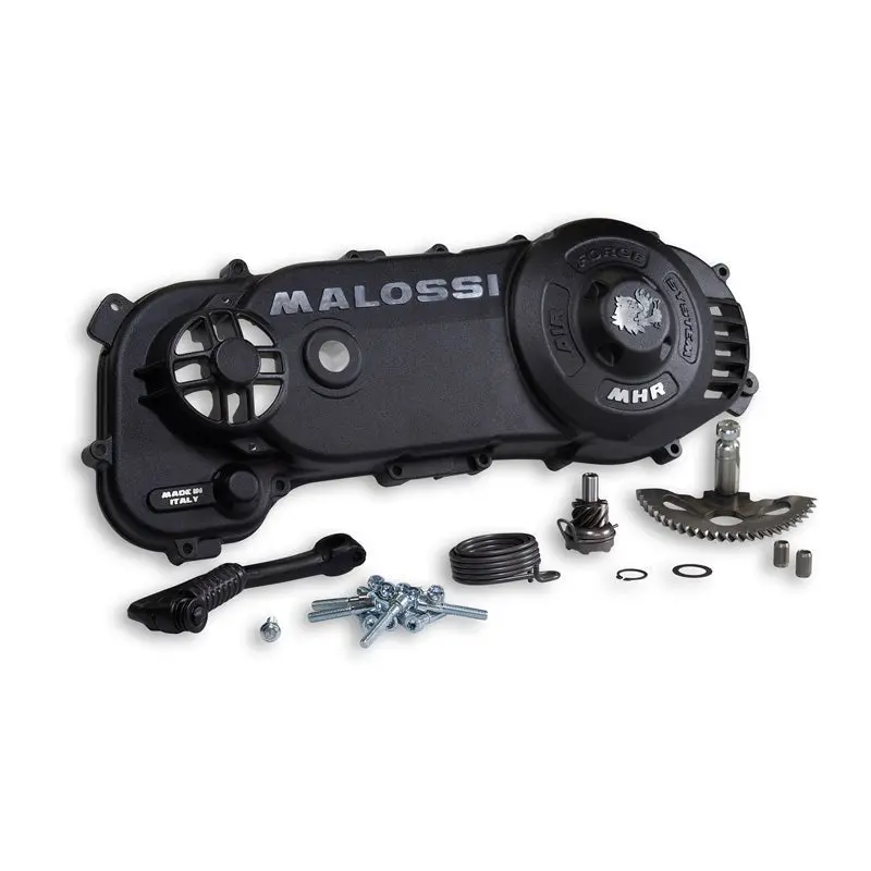 Malossi C/Rc-One Crankcase Cover With Kit Starter 1