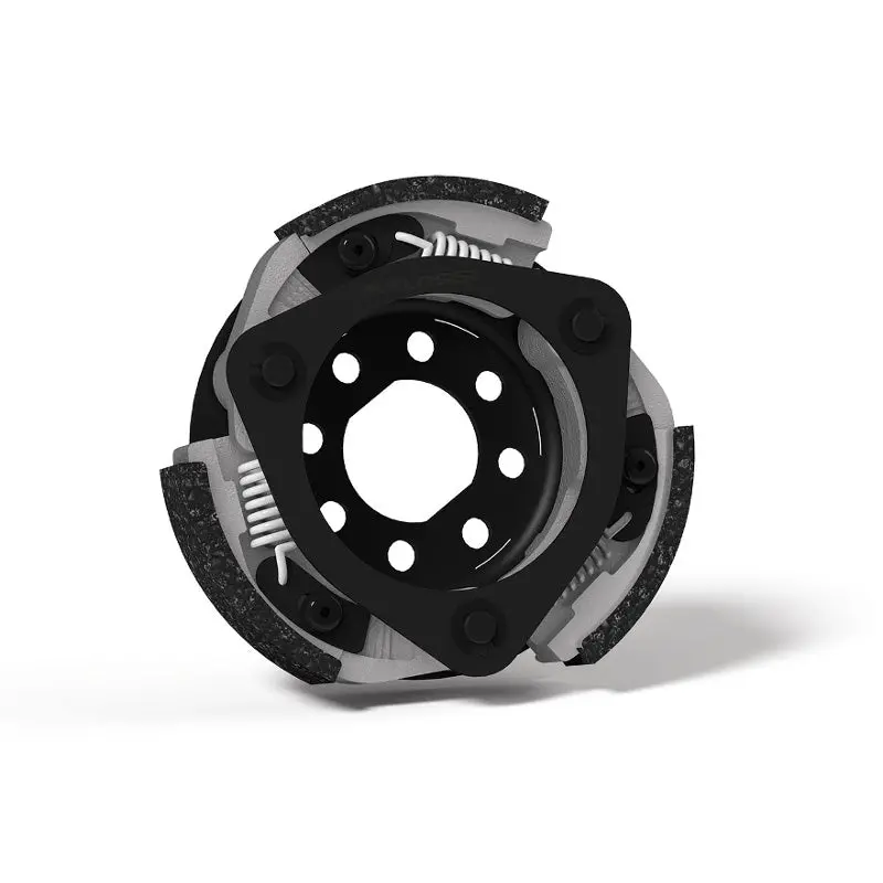 Malossi Delta Clutch 1
