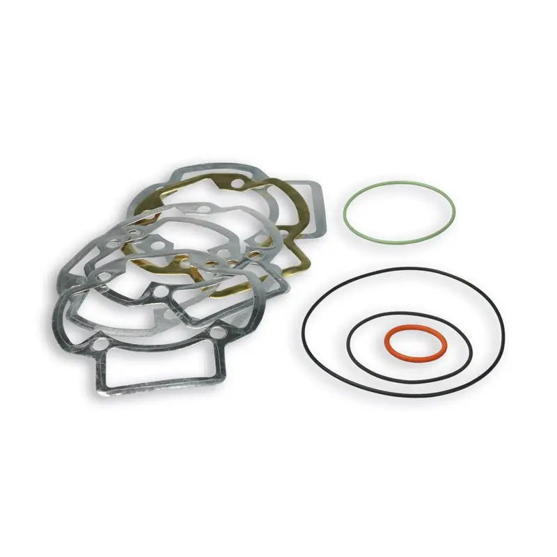Malossi Gasket Kit 1